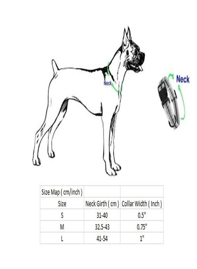 The DDS Store® Pet Dog Belt Combo of Black Dog Collar & Leash Specially for Medium Breeds Dog Collar & Leash (Neck Girth = 32.5-43 cm, Width = 0.75 inch)(Medium, Black) - Image 2